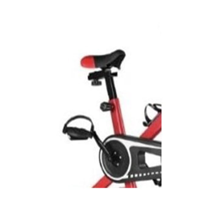 Bicicleta spinning profesional